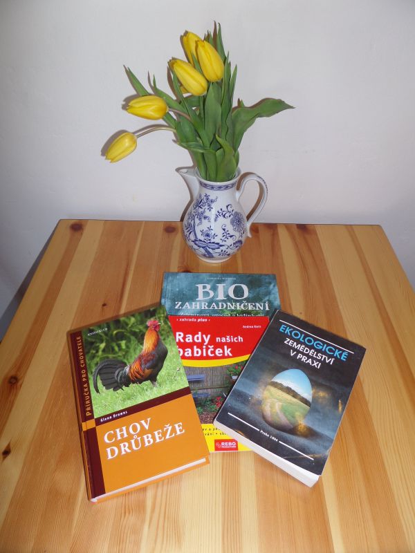 Studujeme a studujeme.