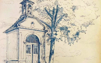 Lniště po 80 letech