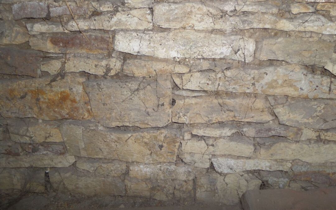 Jak na prohlídku domu