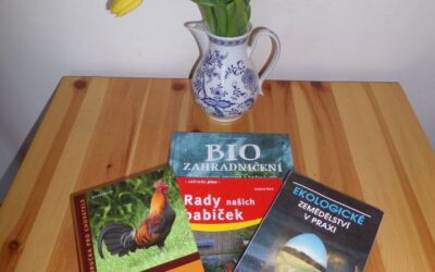 Statek se nám rýsuje