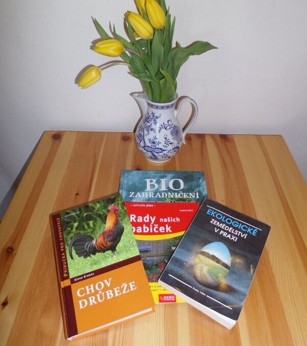 Statek se nám rýsuje